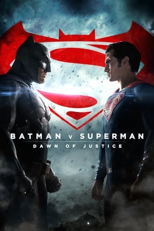 Download Batman Vs Superman Dawn of Justice (2016) Hindi Dual Audio ...